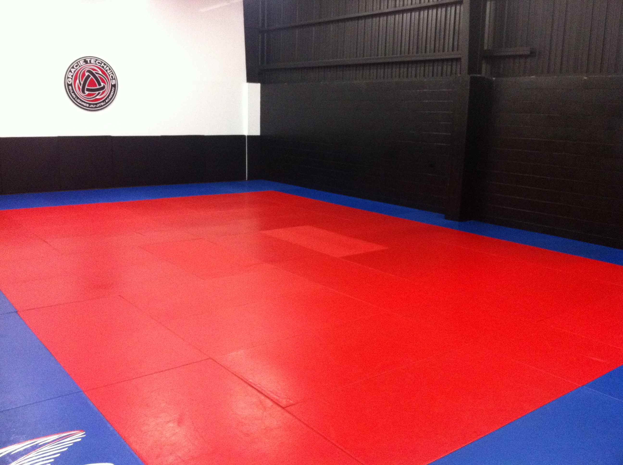 Welcome to the Gracie Technics Academy 2.5!